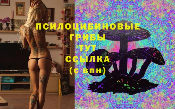 каннабис Баксан