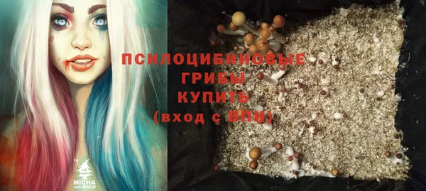 первитин Новозыбков